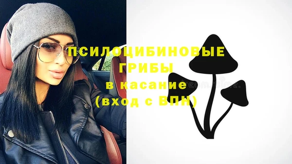 бошки Касимов