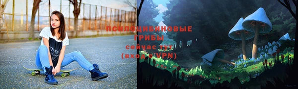 наркотики Карпинск