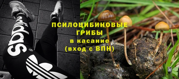 трава Кинешма