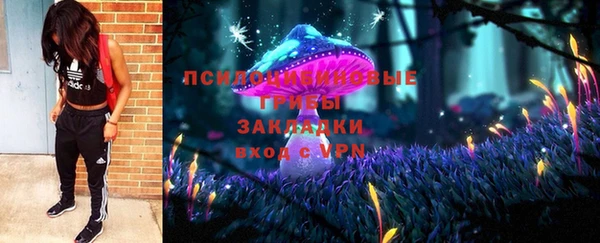 бошки Касимов